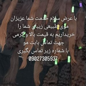 خریدار اصلی( مو)