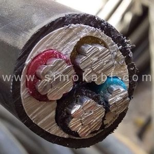 کابل سازمانی کنسانتریک
