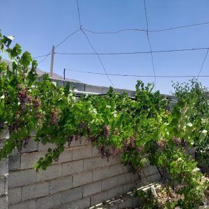 فروش خانه ویلایی