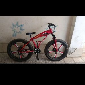فروش دوچرخه ساحلی