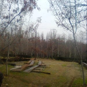 فروش زمین در منطقه سوادکوه روستای کلاریجان