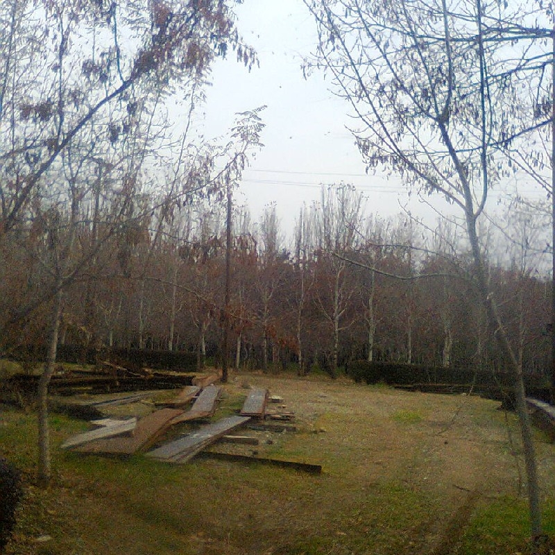 فروش زمین در منطقه سوادکوه روستای کلاریجان