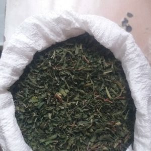 لیزک بن سرخ کوه نیر