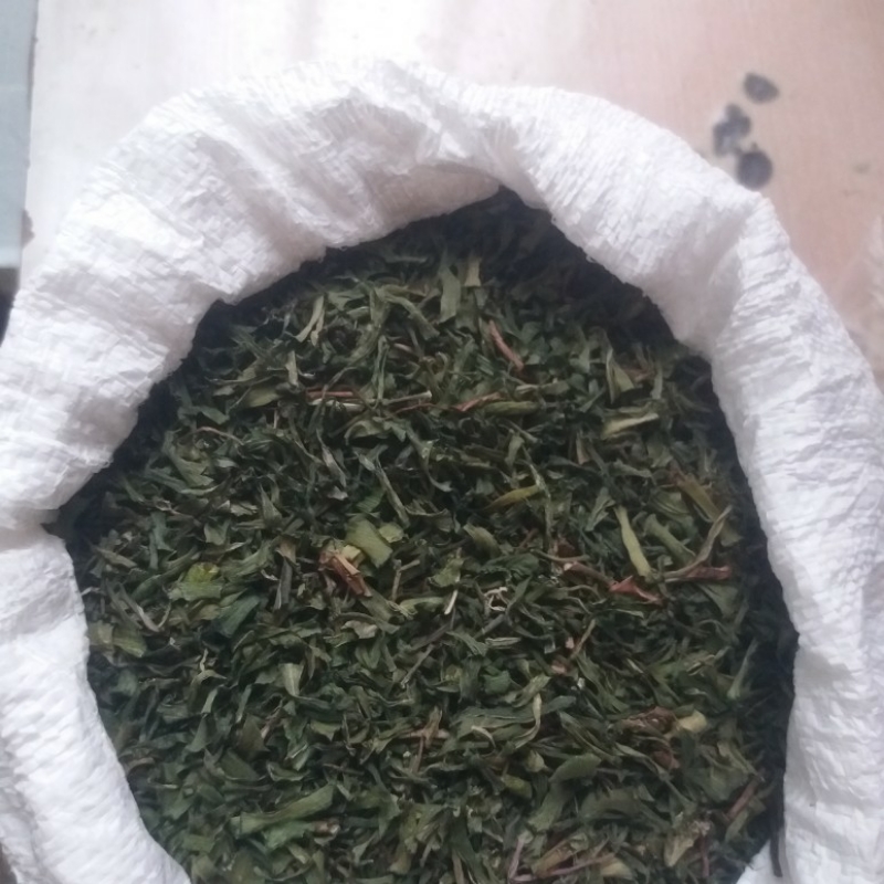 لیزک بن سرخ کوه نیر