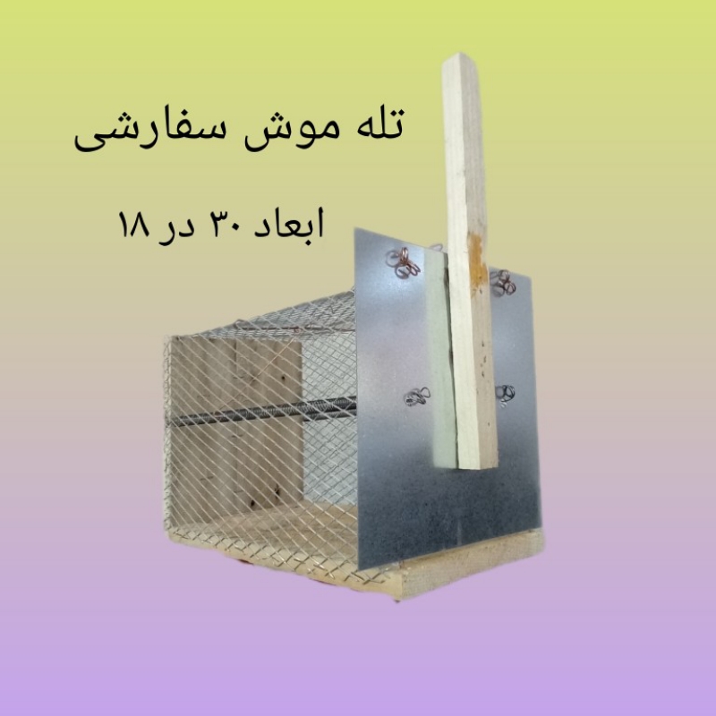 تله موش مکانیکی چوبی بزرگ