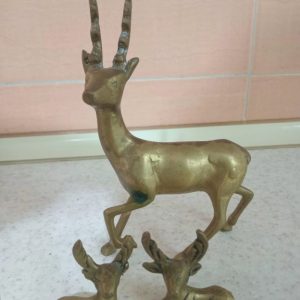 ظروف عطیقه