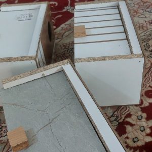 تولید لانه عروس هلندی