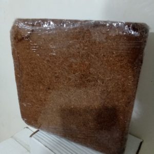 کوکوپیت سریلانکا