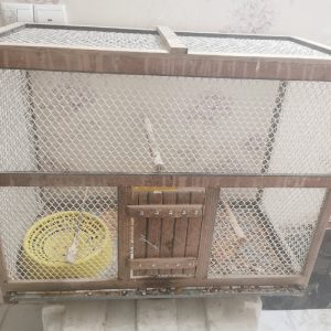 قفس درجه یکو سالم برای انواع مختلف حیوانات خانگی