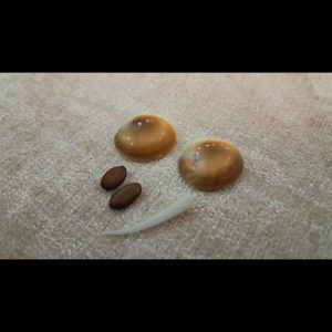 کتاب دعا